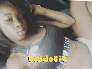 LiddoBit