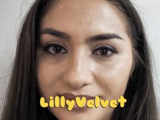LillyVelvet