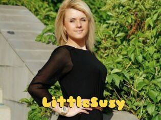 LittleSusy