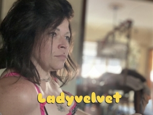 Ladyvelvet