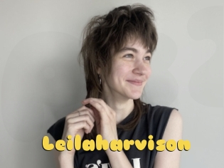 Leilaharvison
