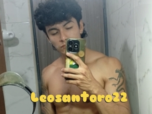 Leosantoro22