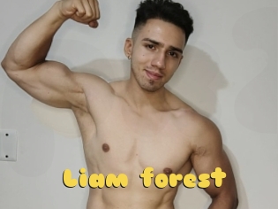 Liam_forest