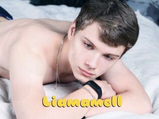 Liamamell