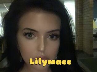 Lilymaee