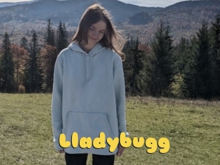 Lladybugg