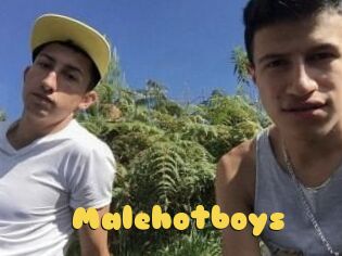 Malehotboys