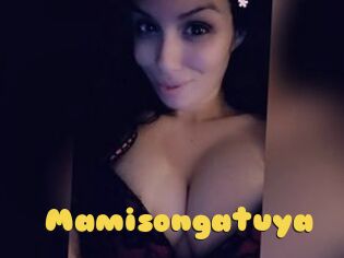 Mamisongatuya