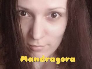 Mandragora