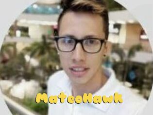 MateoHawk