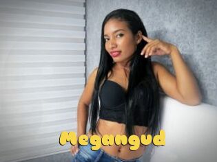 Megangud