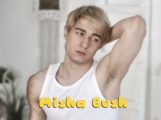 Misha_Bush