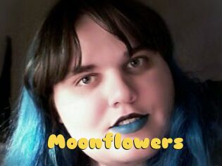 Moonflowers