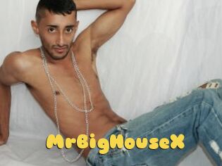 MrBigHouseX