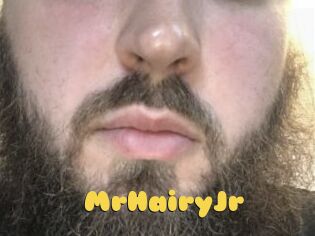 MrHairyJr