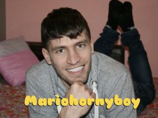 Mariohornyboy
