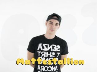 Mattestallion