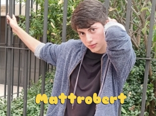 Mattrobert