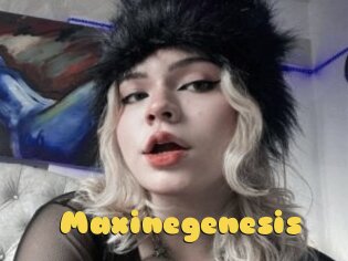 Maxinegenesis