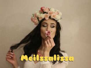 Meilssalissa