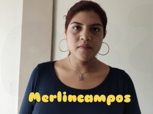 Merlincampos