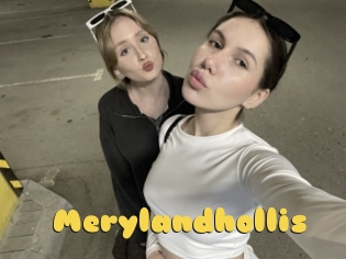 Merylandhollis