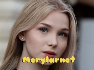 Merylarnet