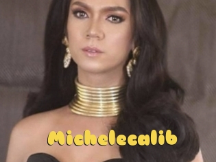 Michelecalib