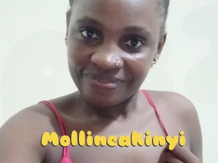 Mollineakinyi