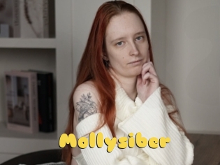 Mollysiber