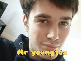 Mr_youngfox