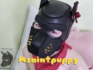 Msaintpuppy