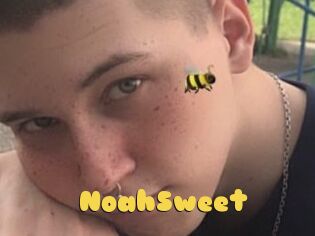 NoahSweet