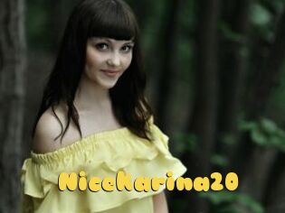 Nicekarina20