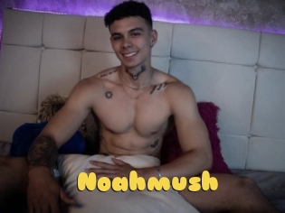 noahmush Px24 Sexcam
