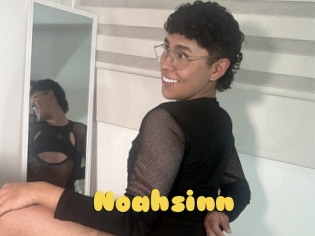 Noahsinn