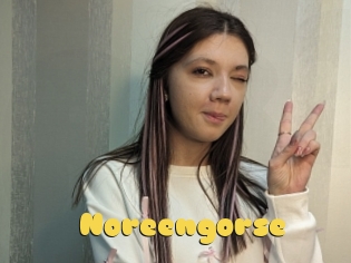 Noreengorse