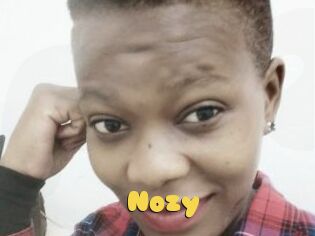 Nozy