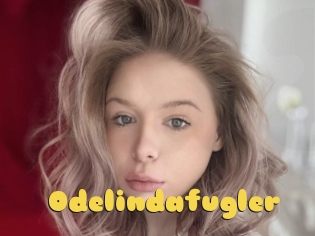 Odelindafugler