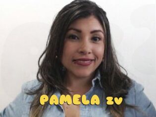 PAMELA_zv