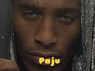 Paju