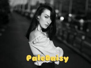 PaleDaisy