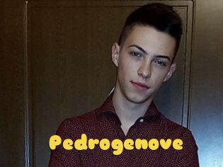 Pedrogenove