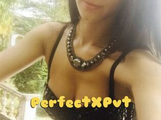 PerfectXPvt_