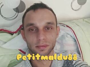 Petitmaldu88