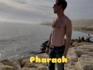 Pharaoh