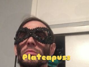 Plate_a_puss