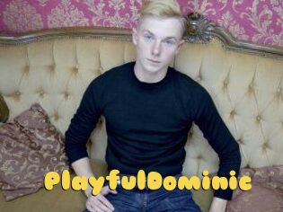 Playful_Dominic