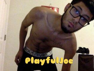 PlayfulJoe