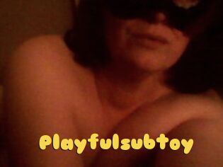 Playfulsubtoy